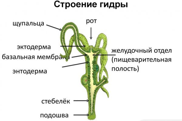 Где взять ссылку на кракен